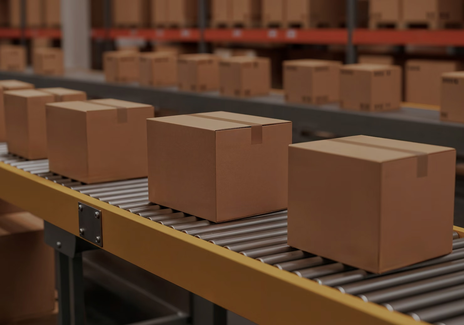 Premium AHAVA packaging presentation